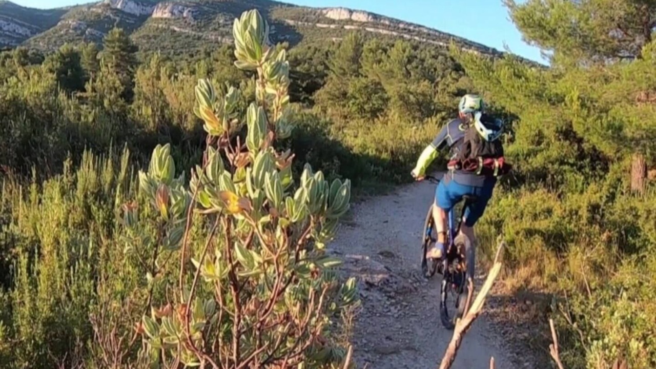Photo of Others in Aubagne