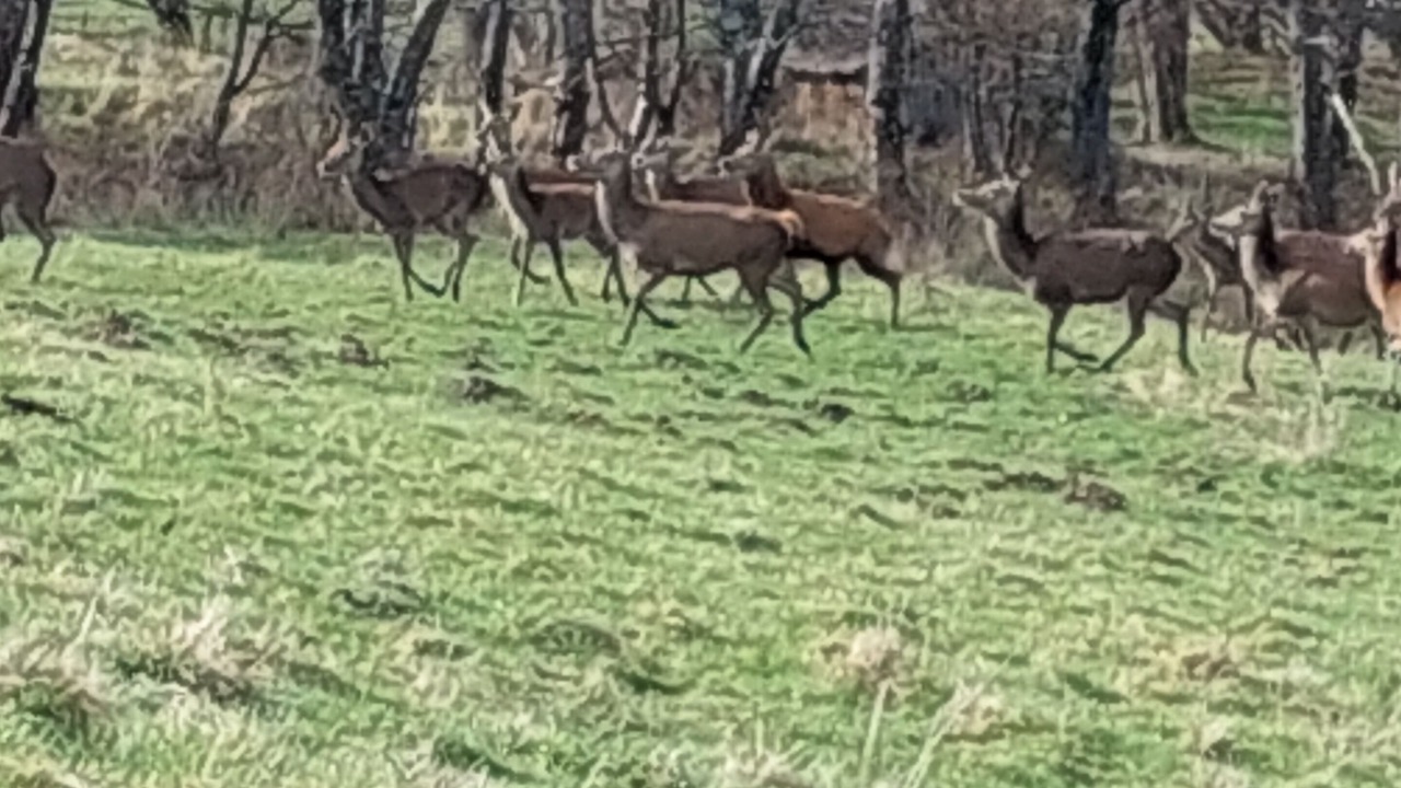 Photo of Others in Cazarilh