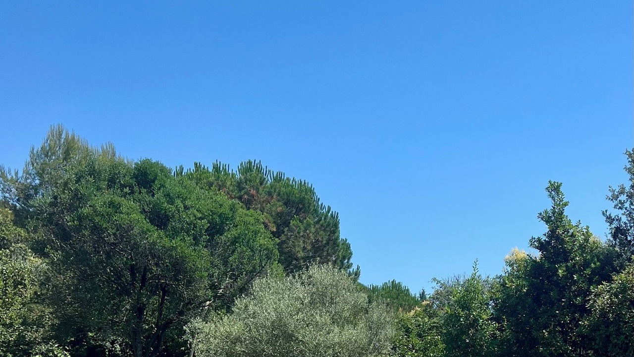 Photo of Outdoor in Saint-Jacques