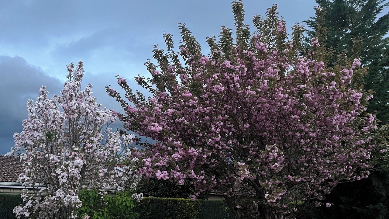 Photo of Outdoor in Juillan