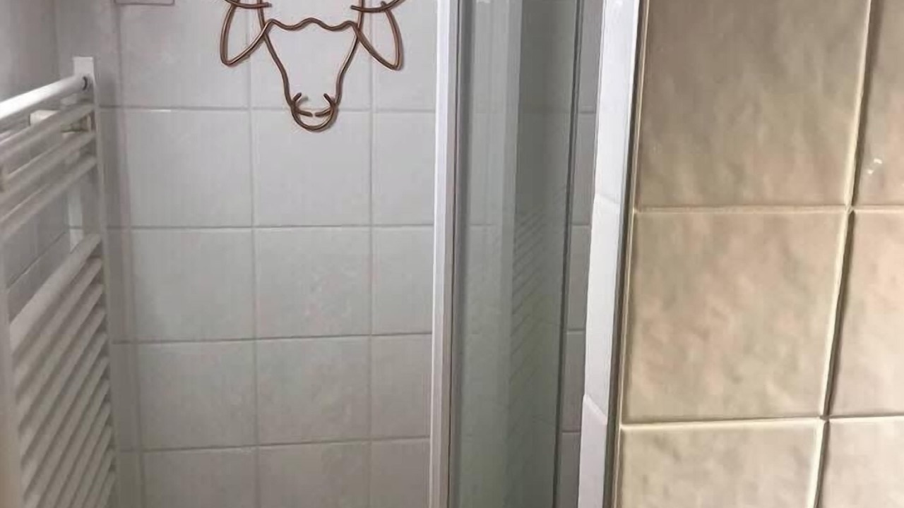 Photo of Bathroom in Amneville