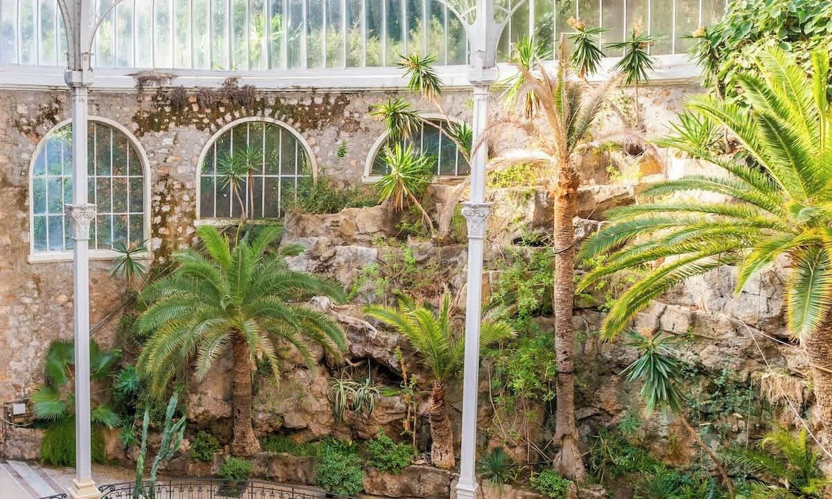 Photo of Outdoor in Beausoleil