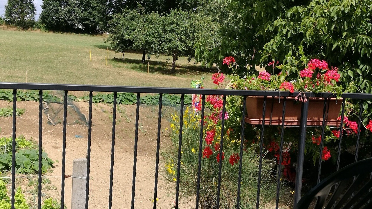 Photo of Outdoor in Concoret