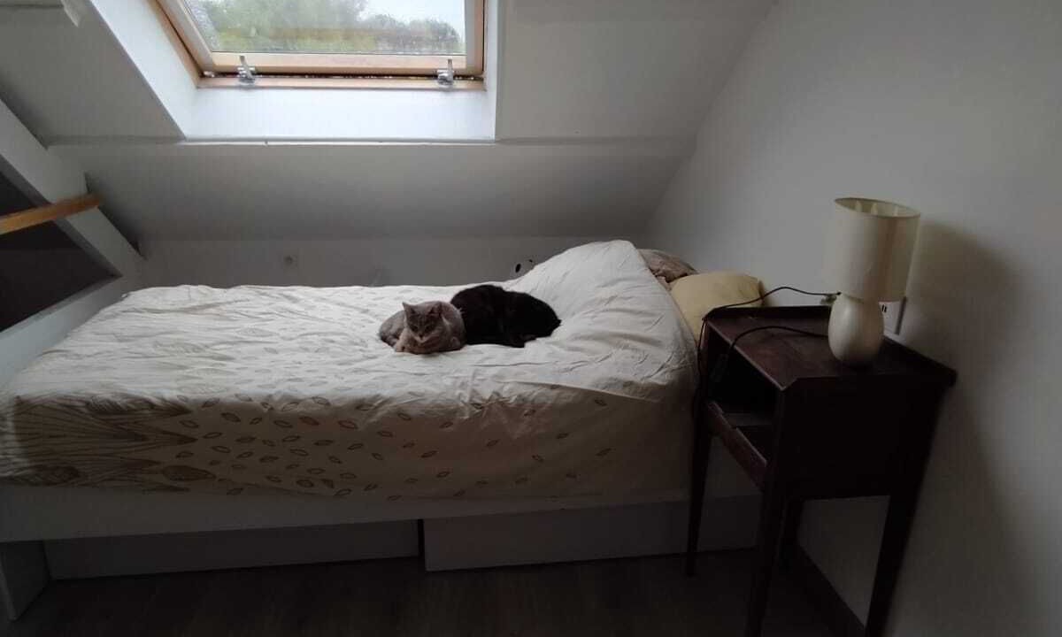 Photo of Bedroom in Belle-Isle-en-Terre