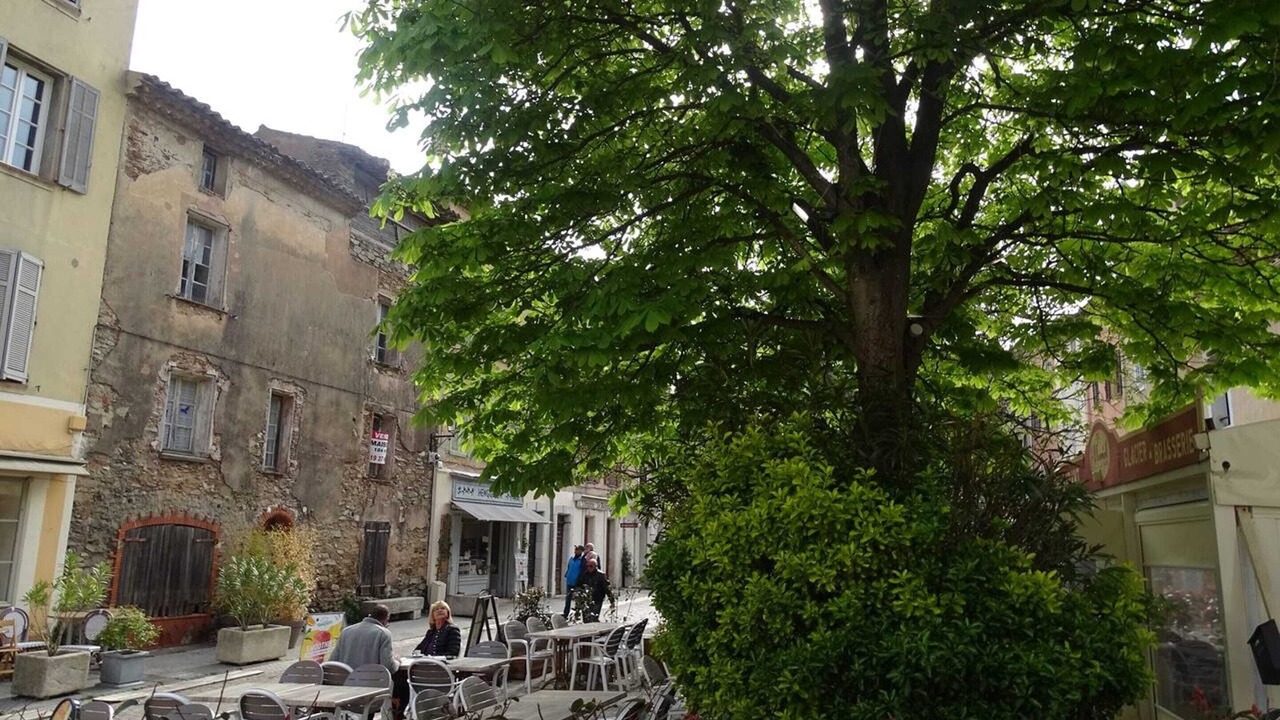 Photo of Others in La Garde-Freinet