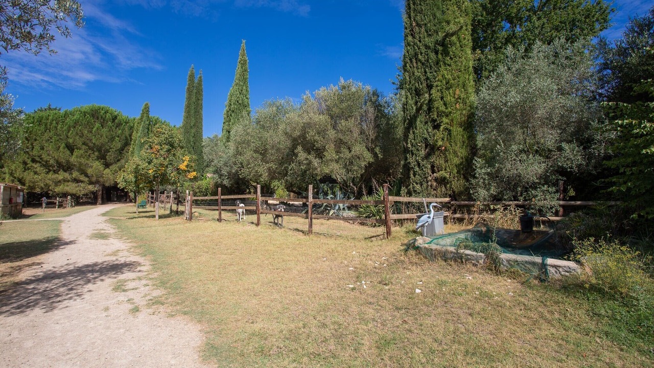 Photo of Outdoor in Le Val