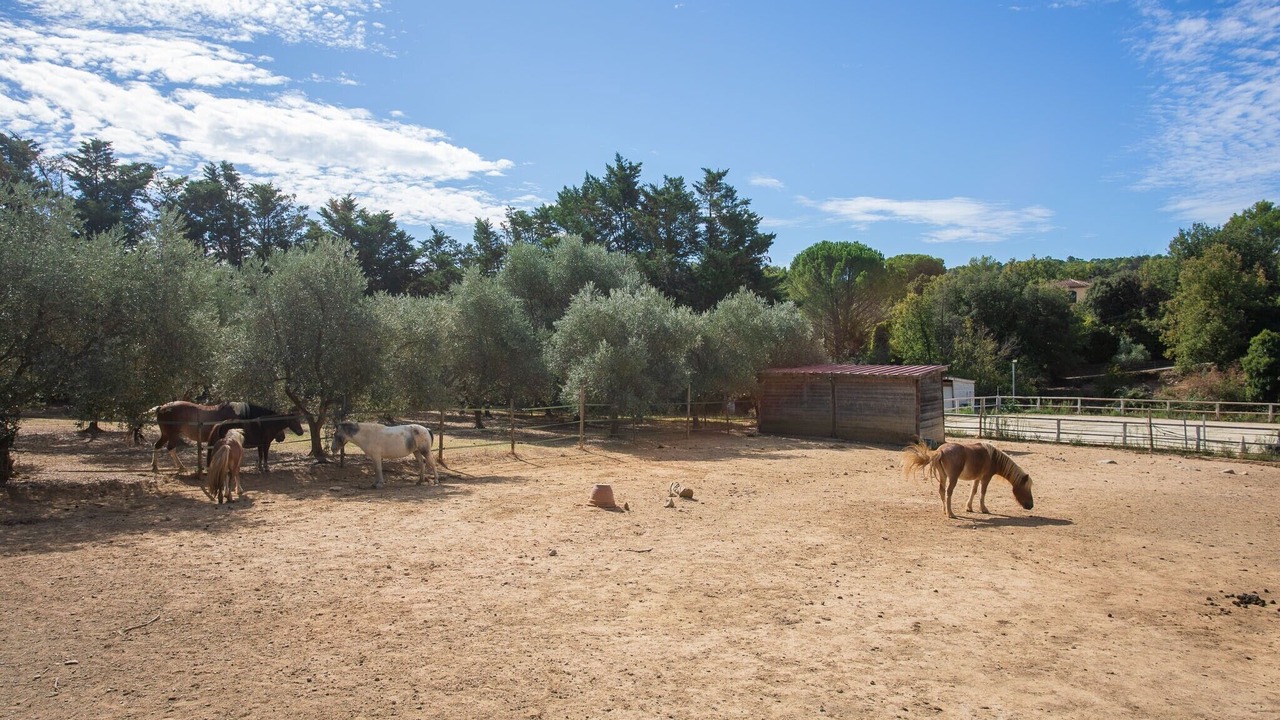 Photo of Others in Le Val
