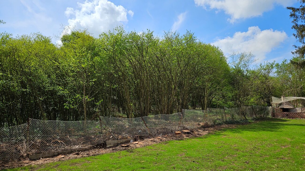 Photo of Outdoor in Dieulouard