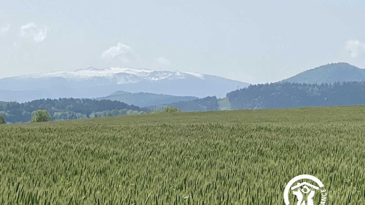 Photo of Others in Espezel