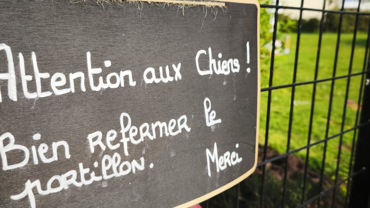 Photo of Others in Plouer-sur-Rance