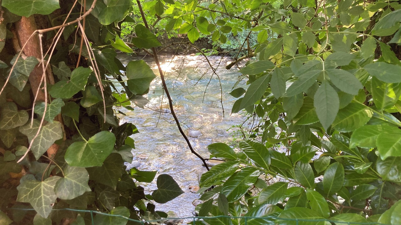 Photo of Outdoor in Aste