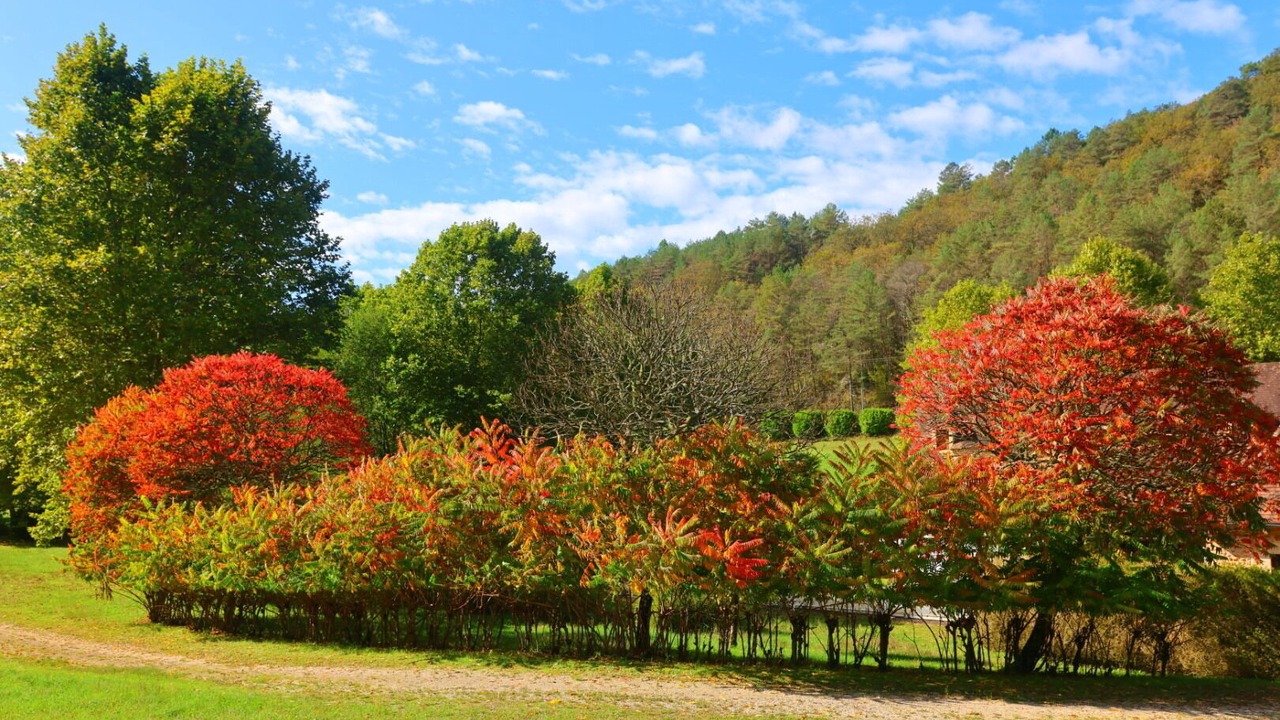 Photo of Others in Rouffignac-Saint-Cernin-de-Reilhac