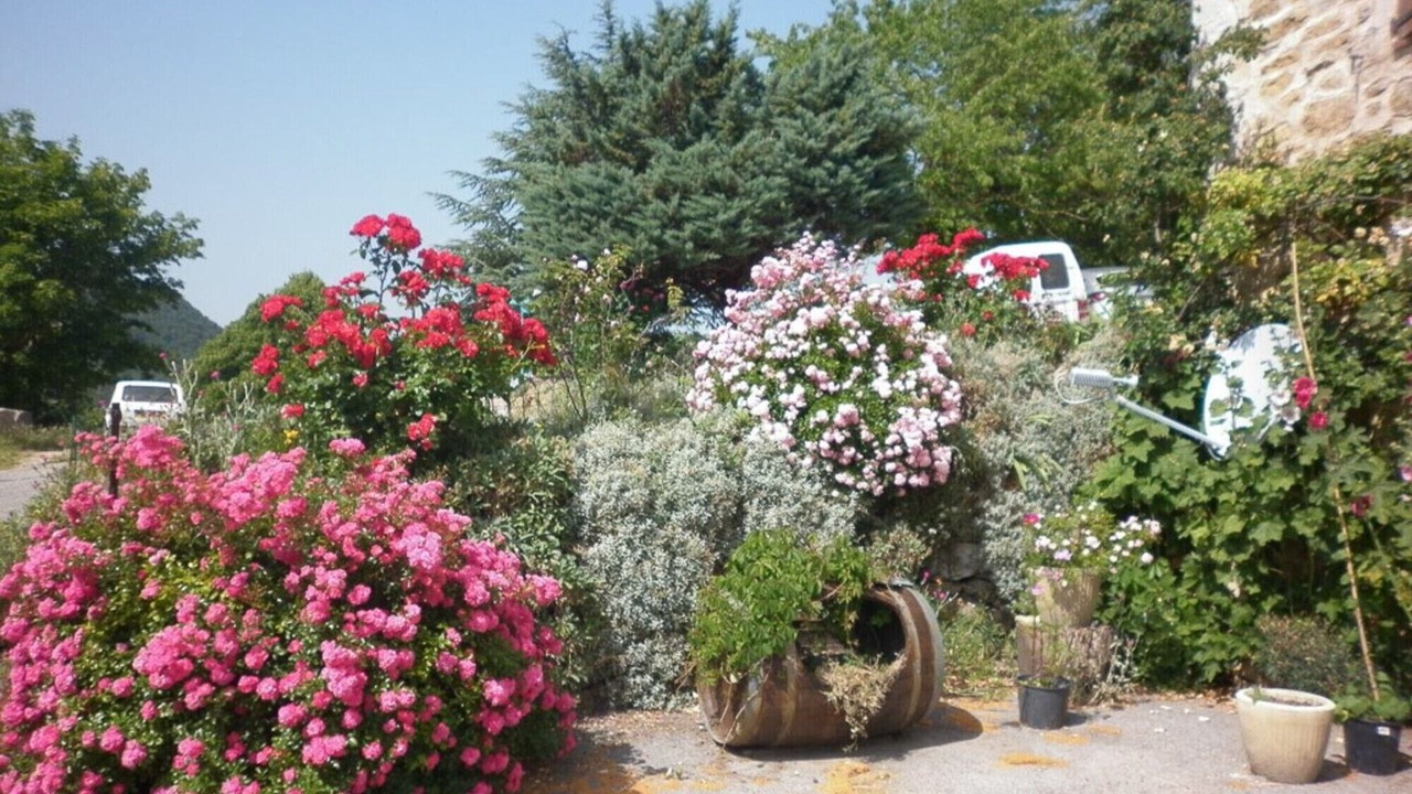 Photo of Outdoor in Peyroules