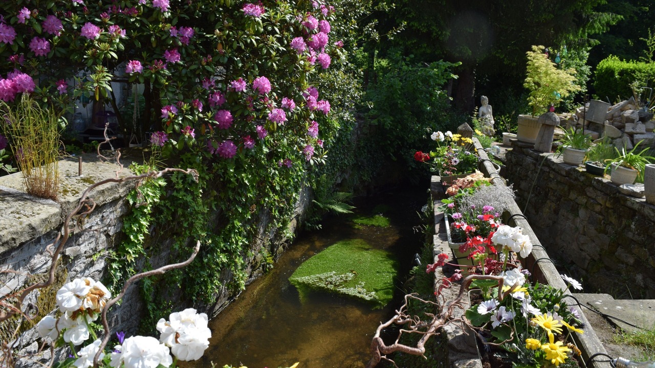Photo of Outdoor in Forges-les-Bains