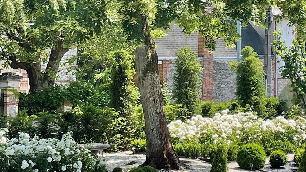 Photo of Outdoor in Blois