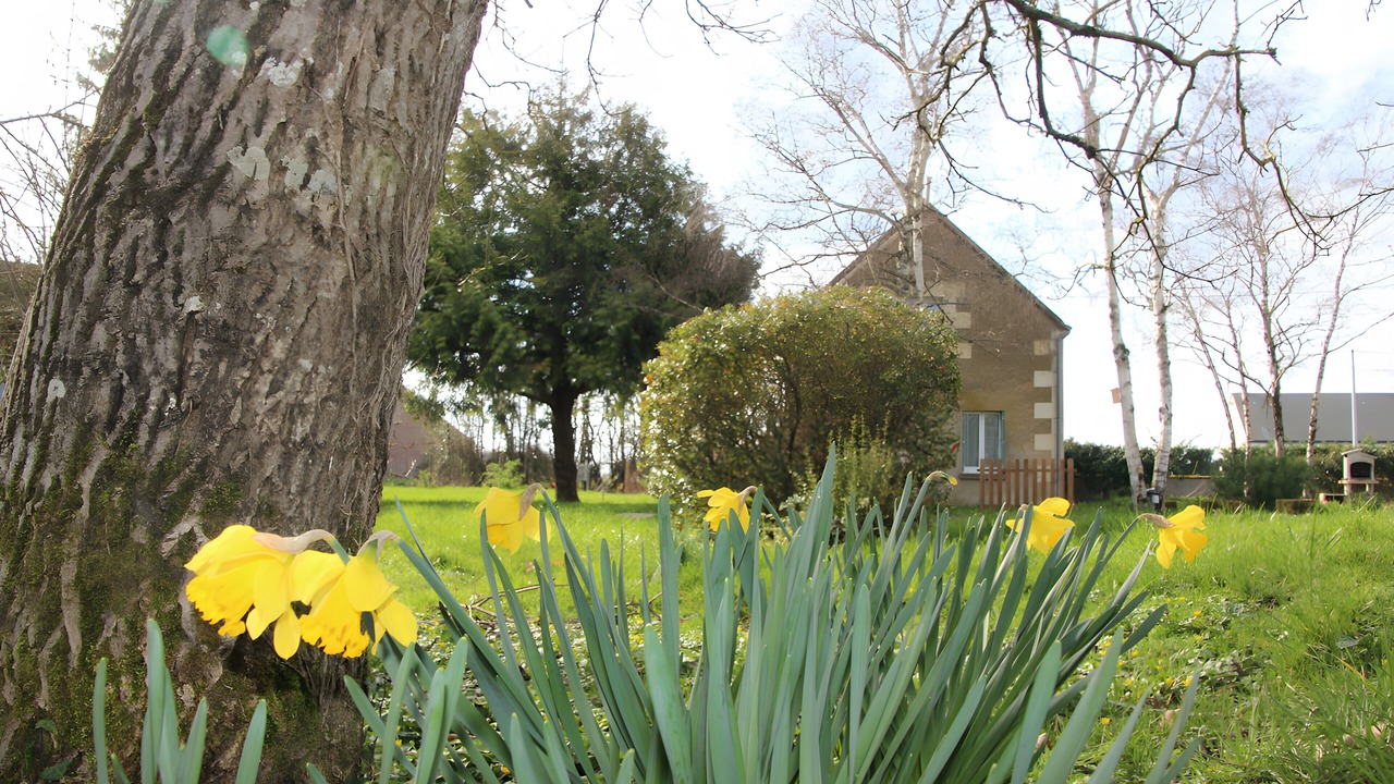 Photo of Outdoor in Couddes