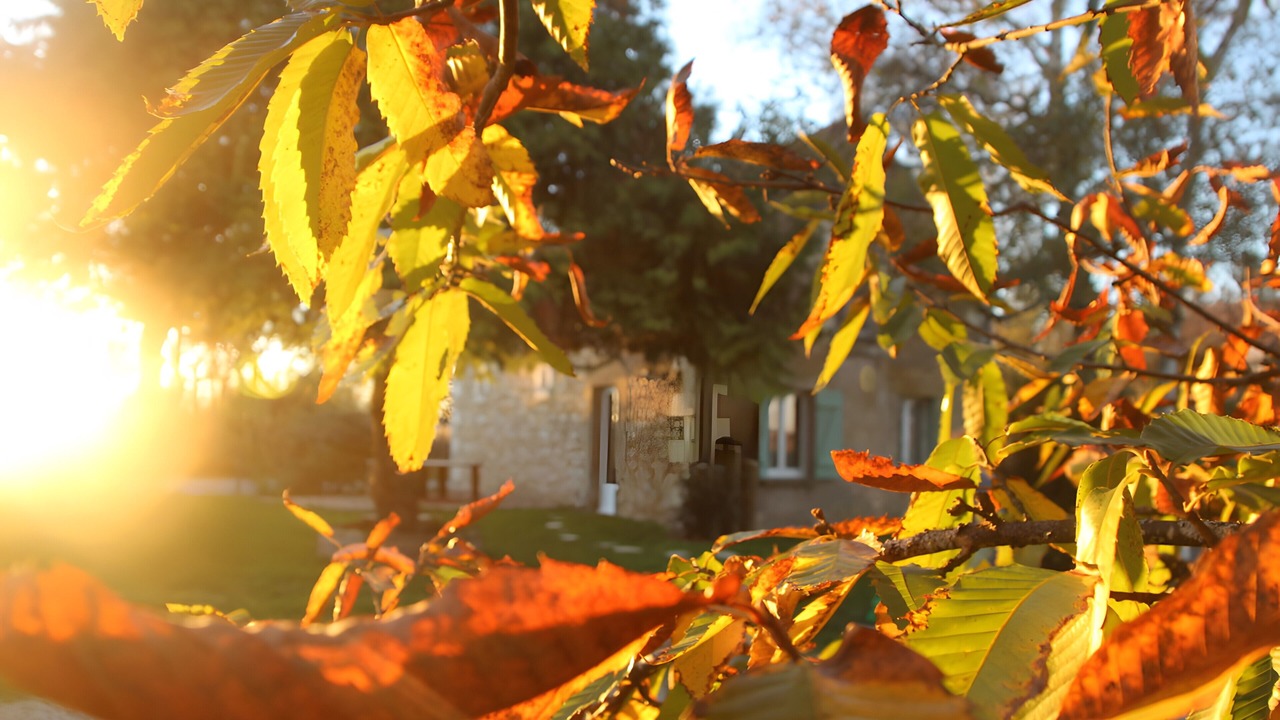 Photo of Outdoor in Couddes