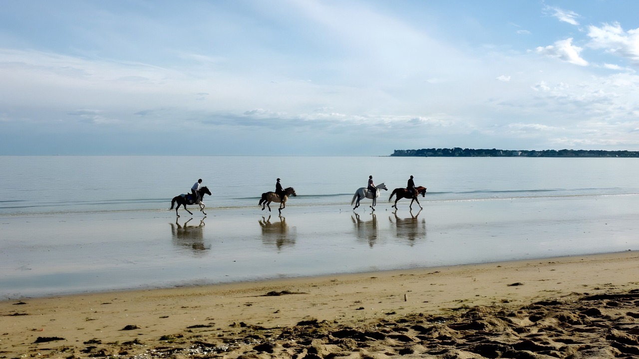 Photo of Others in Guerande