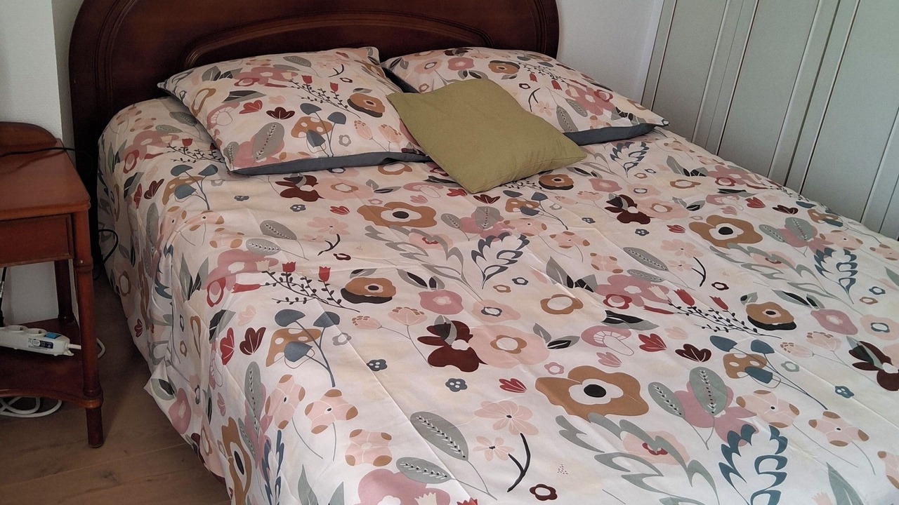 Photo of Bedroom in Gy-en-Sologne
