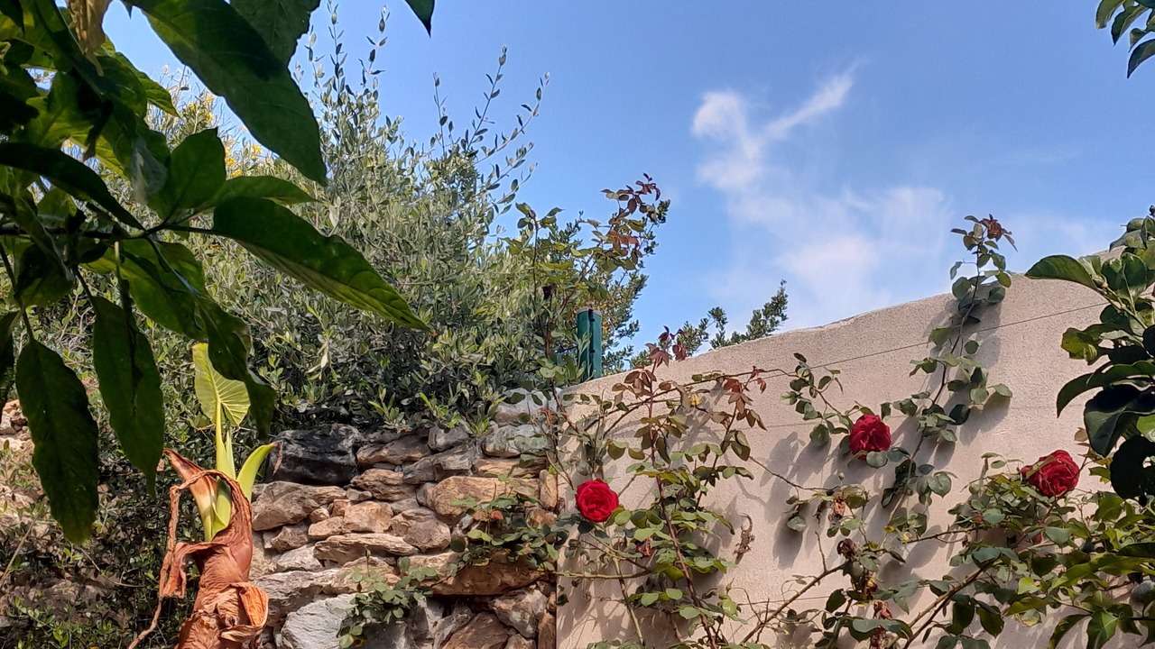 Photo of Outdoor in Figarella