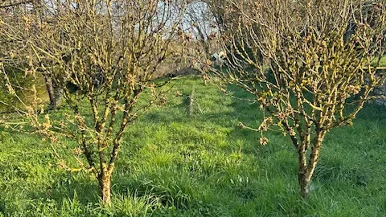 Photo of Outdoor in Cemboing