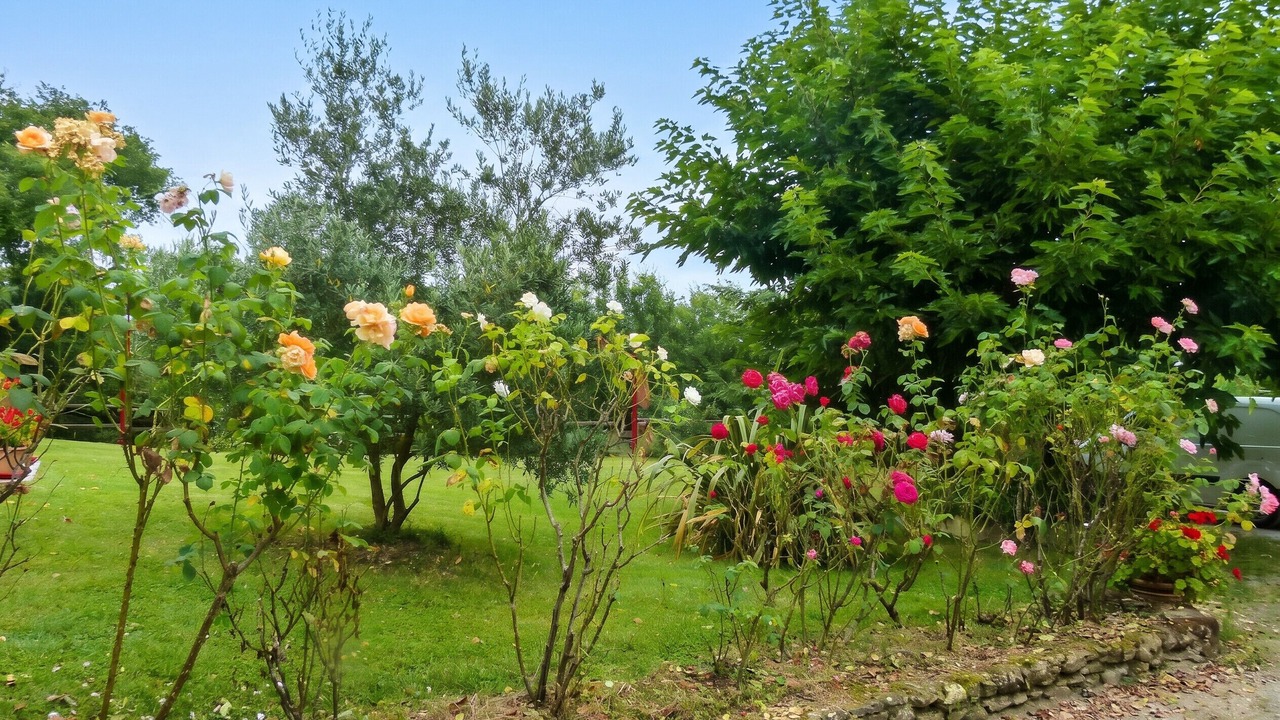 Photo of Outdoor in Ornezan
