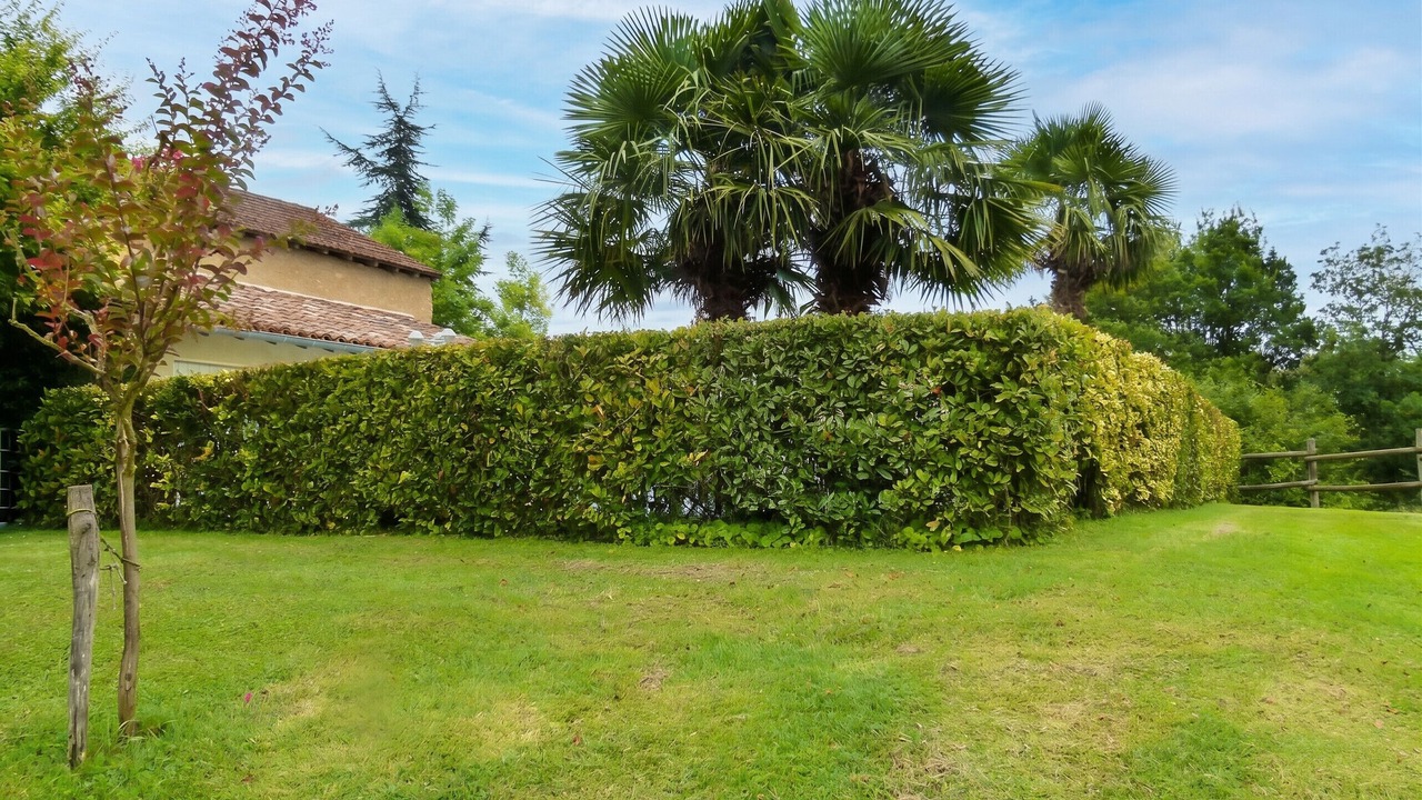Photo of Outdoor in Ornezan