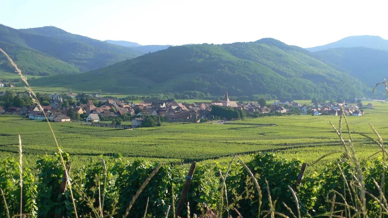 Photo of Others in Kientzheim