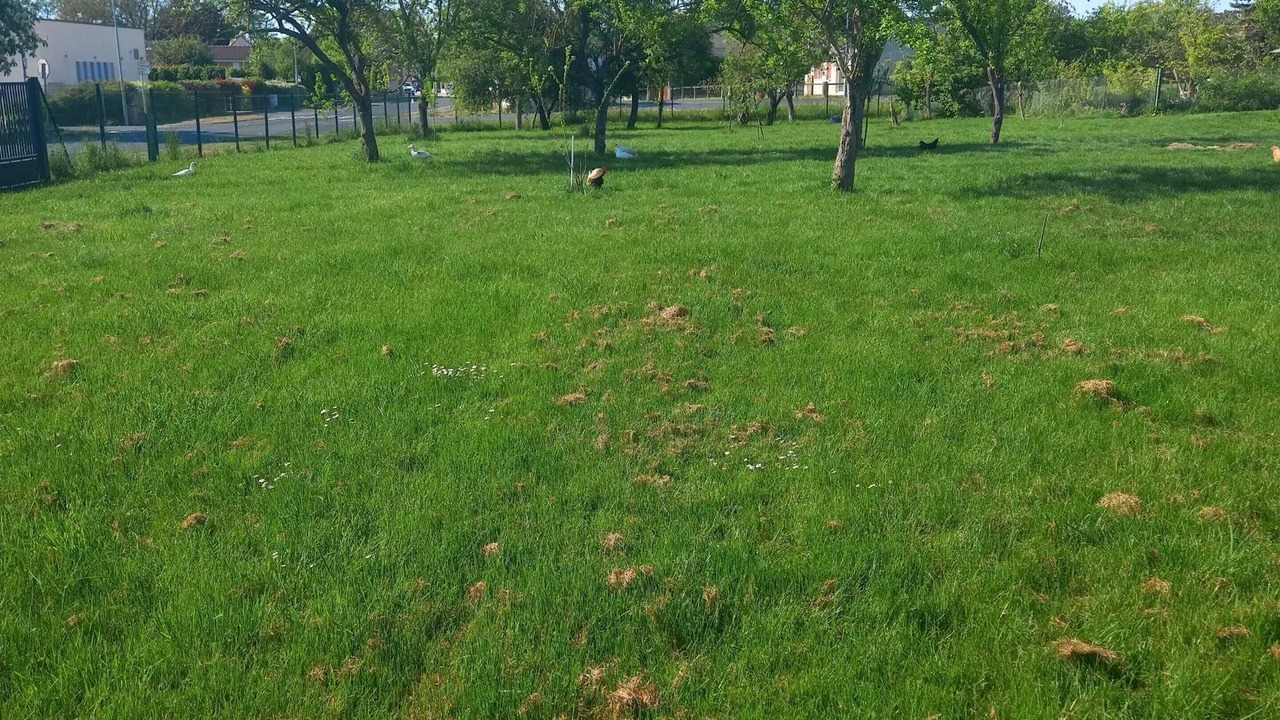 Photo of Outdoor in Chepy