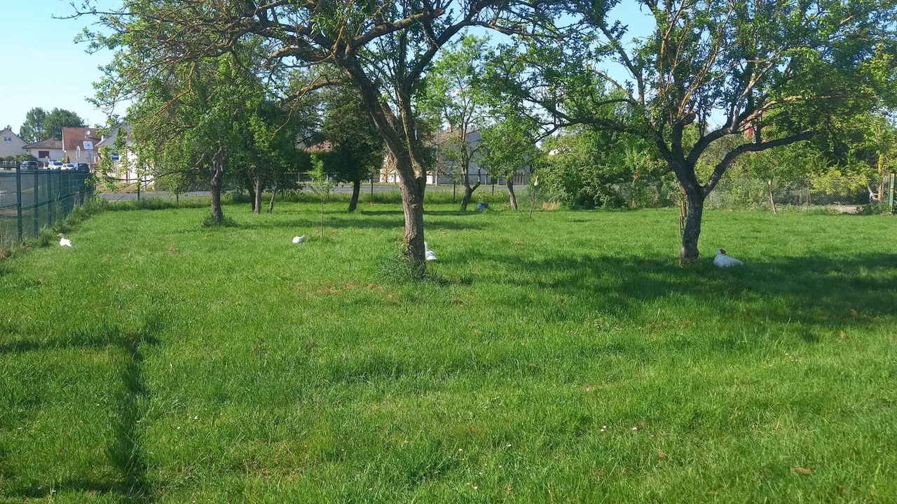 Photo of Outdoor in Chepy