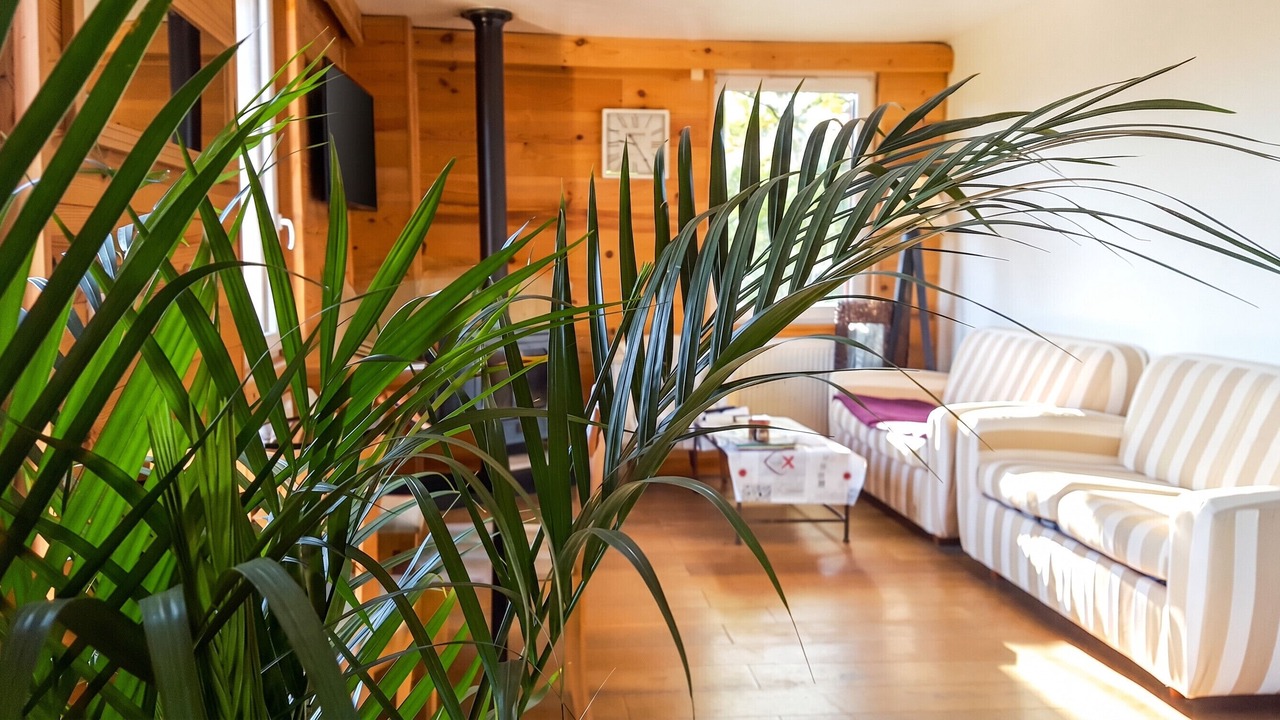 Photo of Outdoor in Mont-Saxonnex