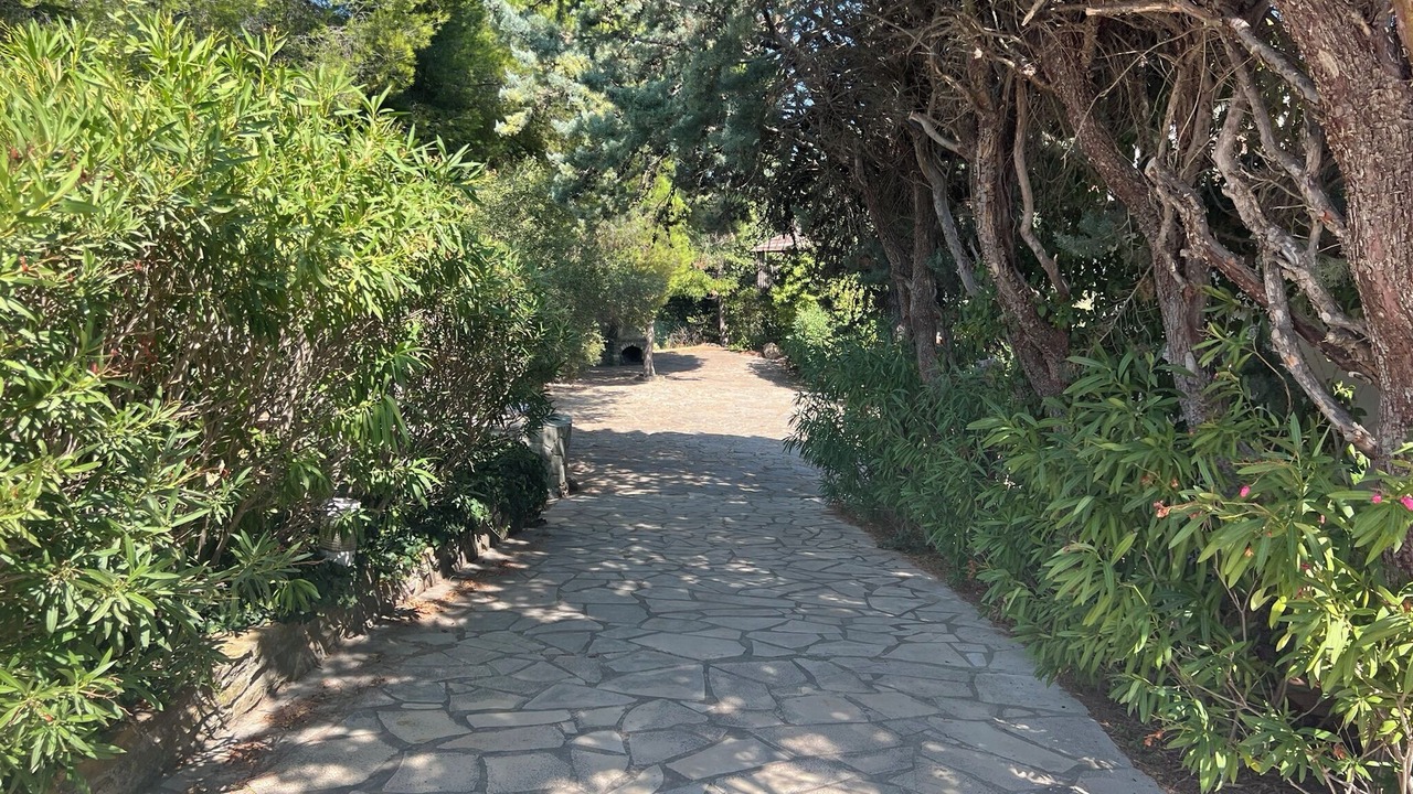 Photo of Outdoor in Ollioules