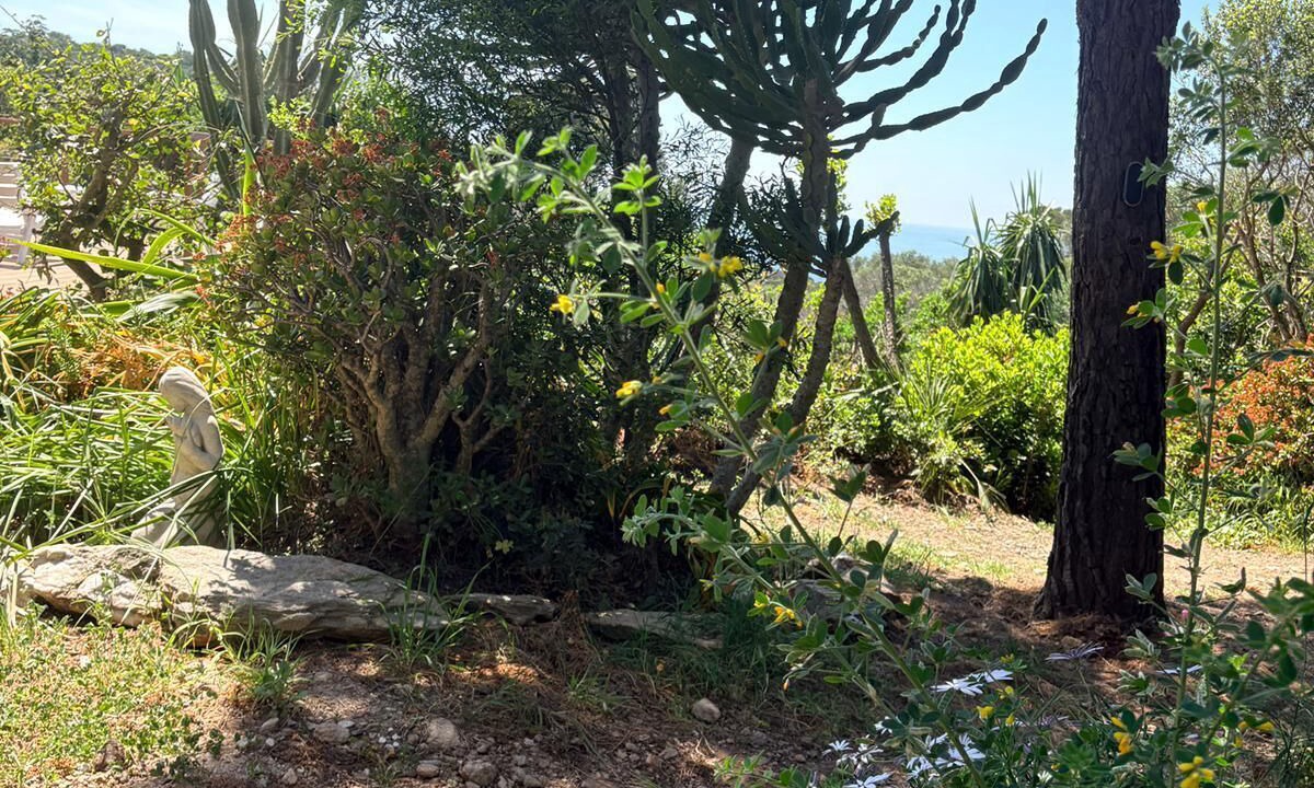 Photo of Outdoor in Ile du Levant