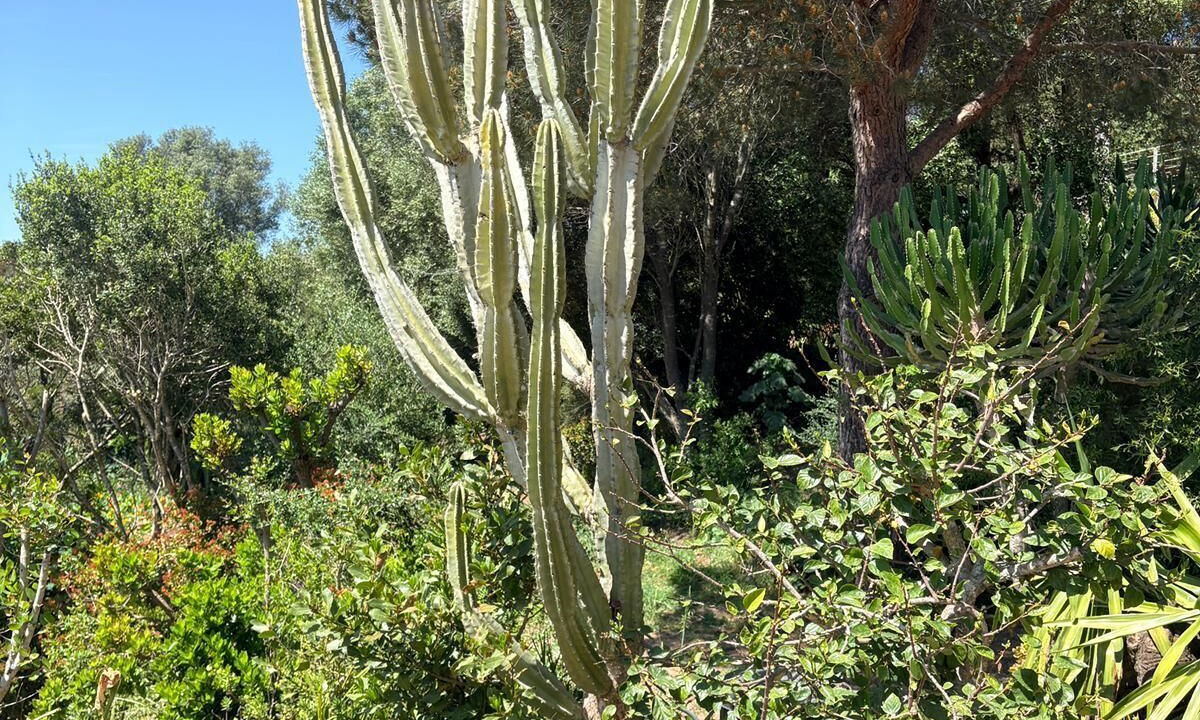 Photo of Outdoor in Ile du Levant
