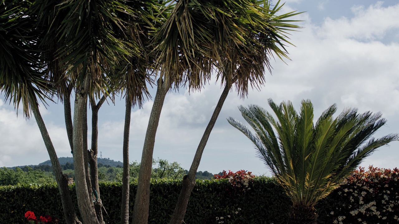 Photo of Outdoor in Saint-Cezaire-sur-Siagne
