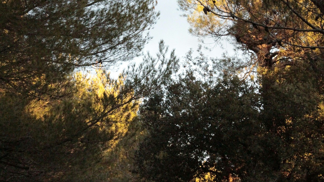 Photo of Others in Saumane-de-Vaucluse