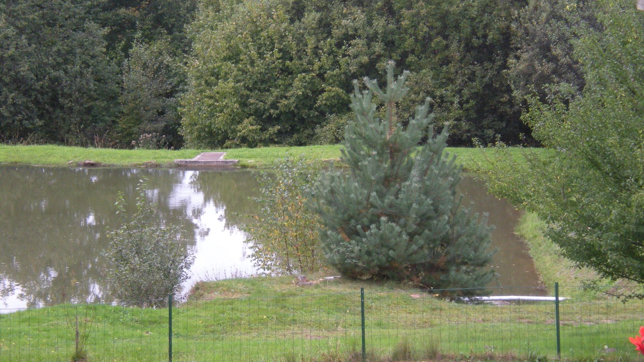 Photo of Outdoor in Mortagne