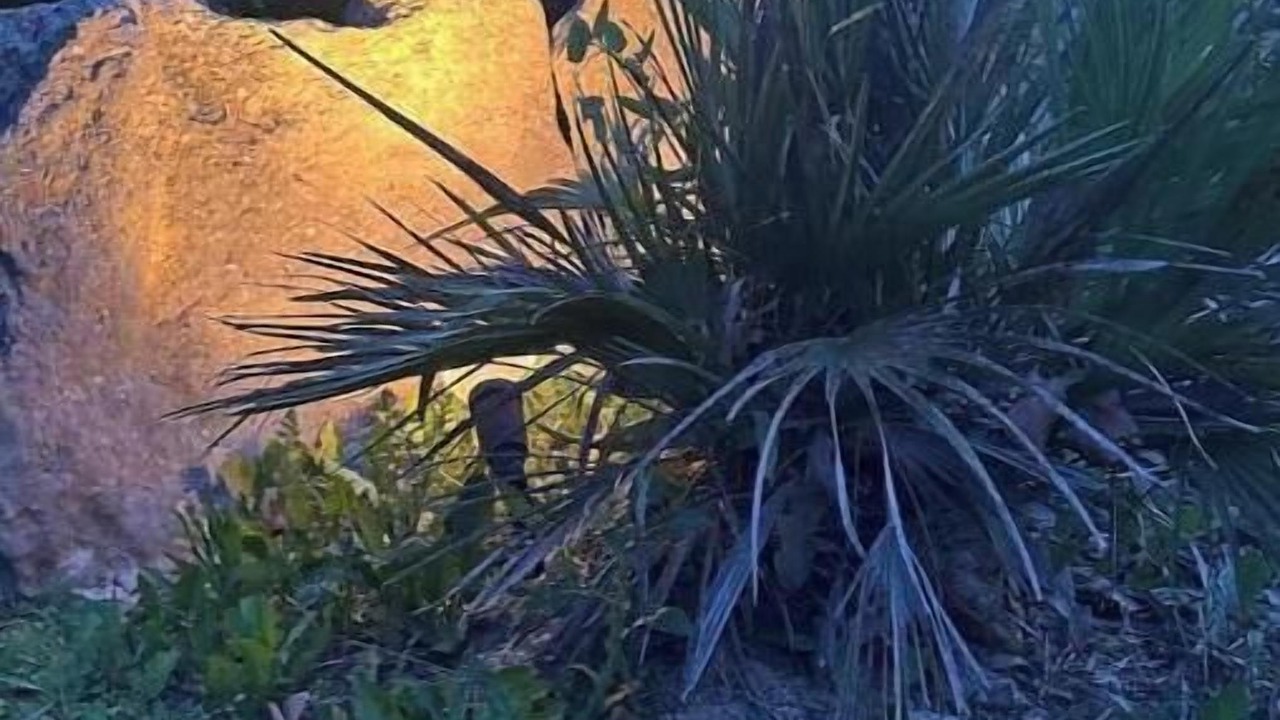 Photo of Outdoor in Nans-les-Pins