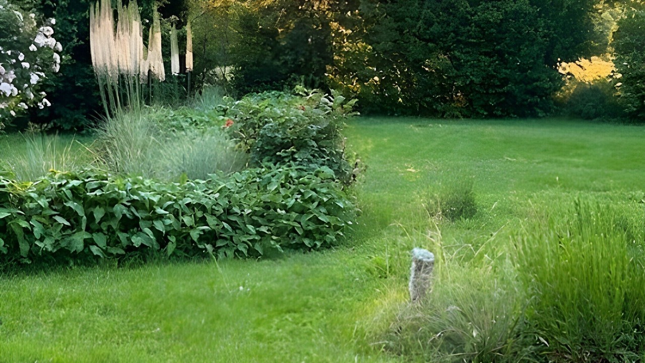 Photo of Outdoor in Anglars-Saint-Felix
