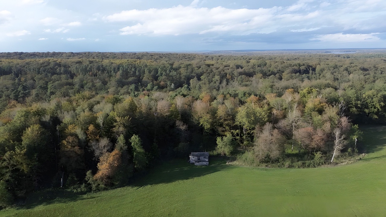 Photo of Outdoor in Foulcrey