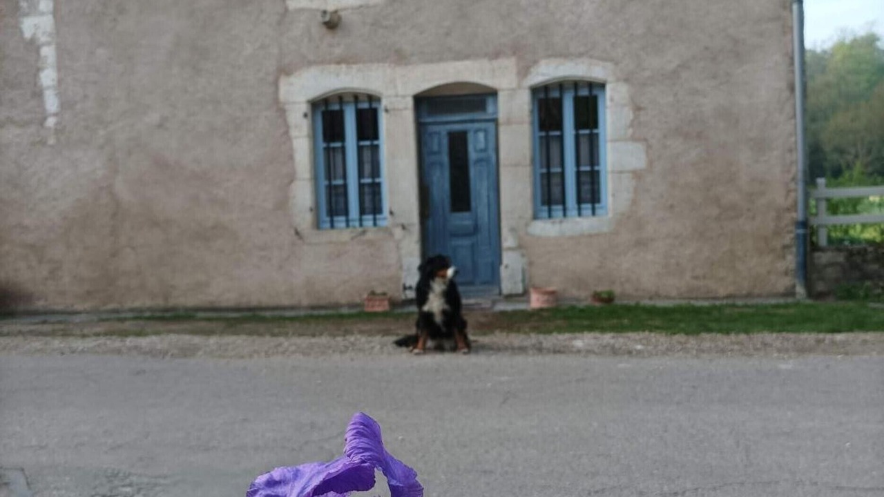 Photo of Outdoor in Autigny-la-Tour