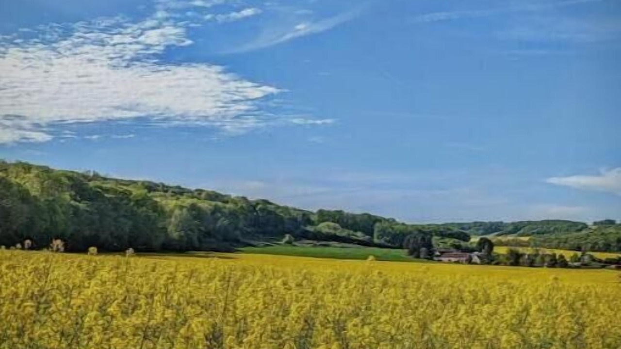Photo of Others in Bergeres-sous-Montmirail