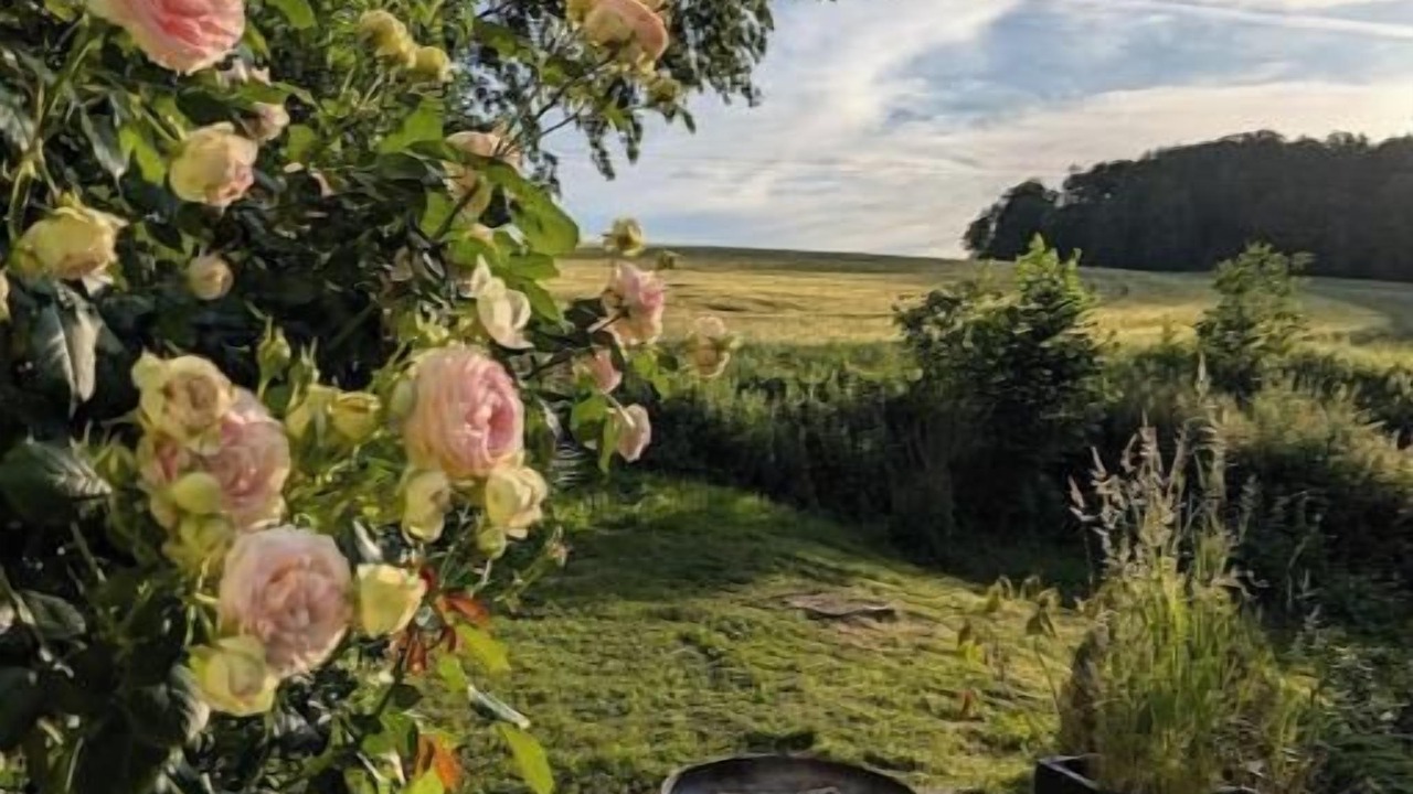 Photo of Outdoor in Bergeres-sous-Montmirail