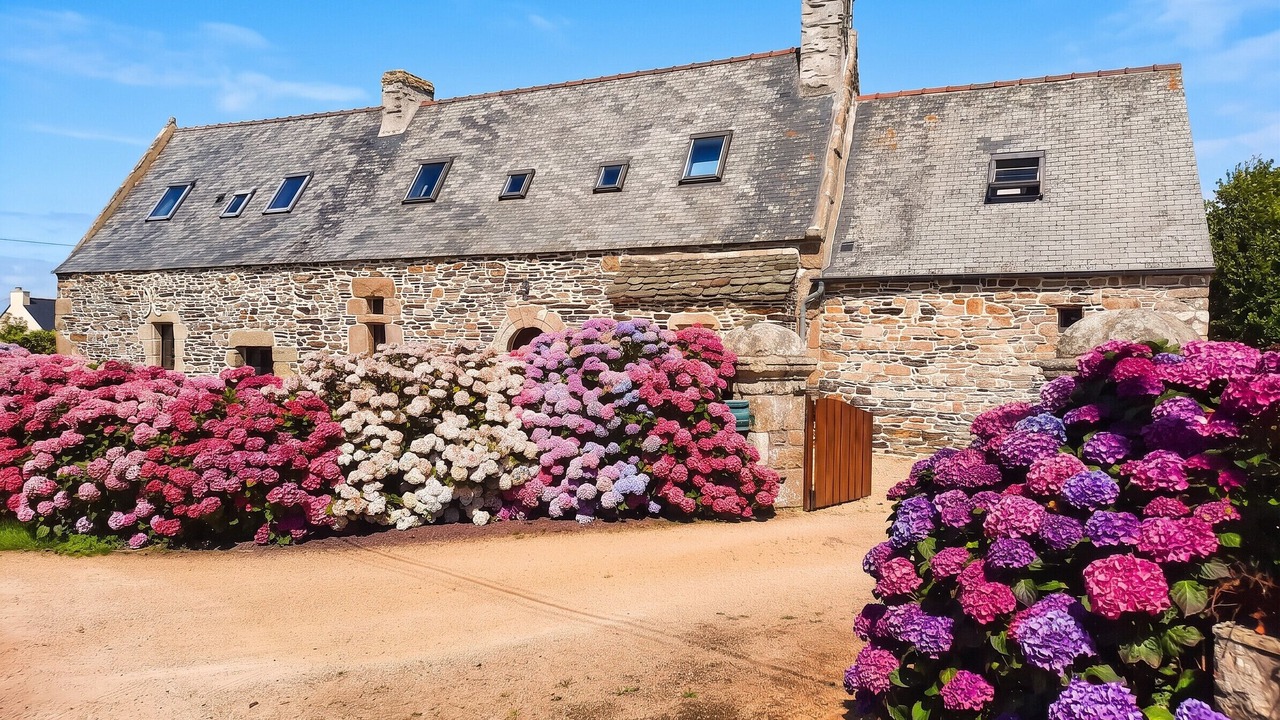 Photo of Outdoor in Tredrez-Locquemeau