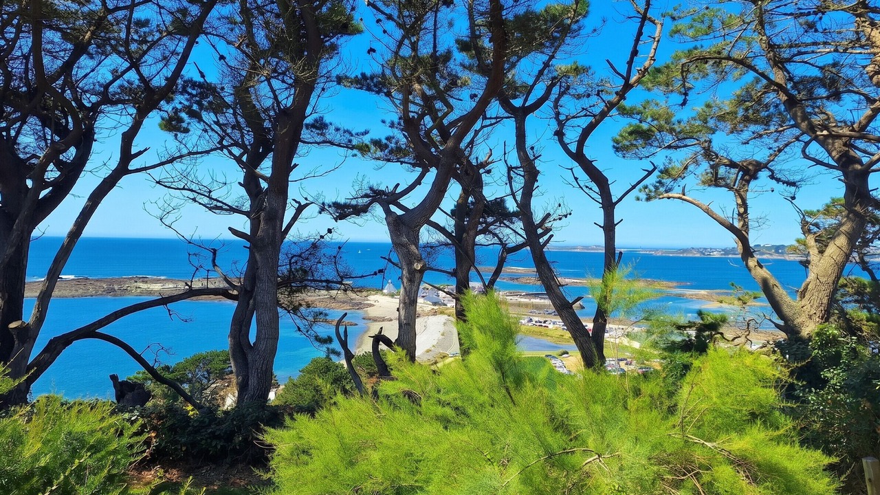 Photo of Others in Tredrez-Locquemeau