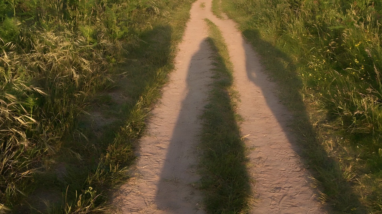 Photo of Others in Tregastel