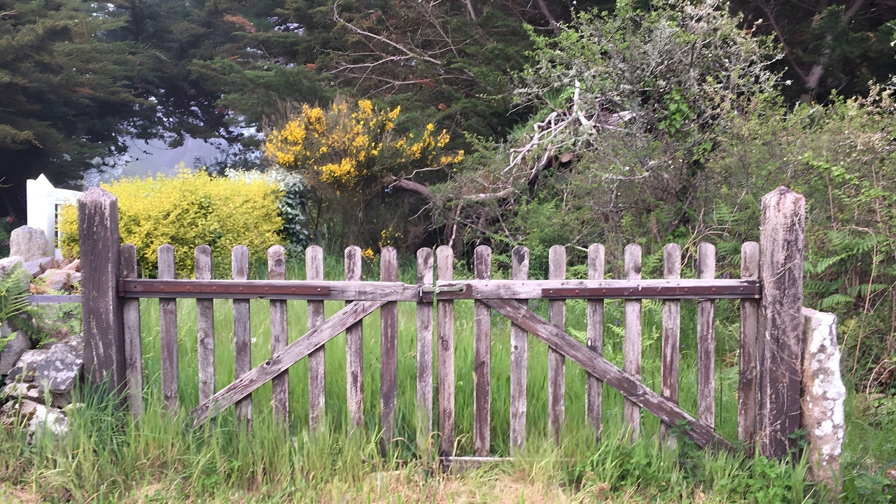Photo of Outdoor in Tregastel