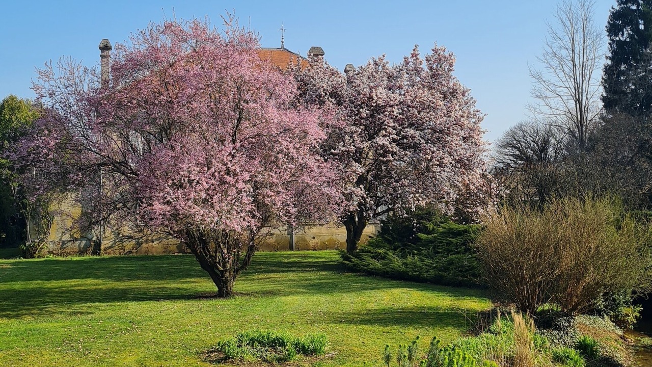 Photo of Outdoor in Rachecourt-Suzemont