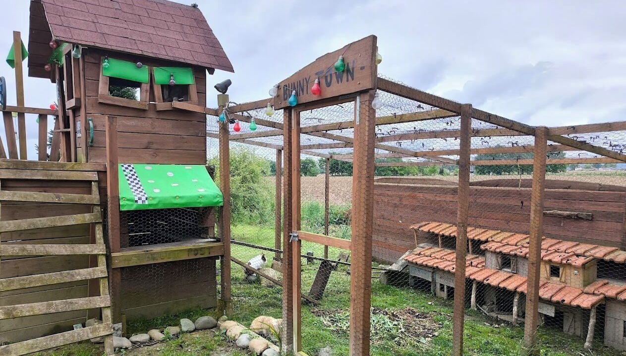 Photo of Outdoor in Uzan