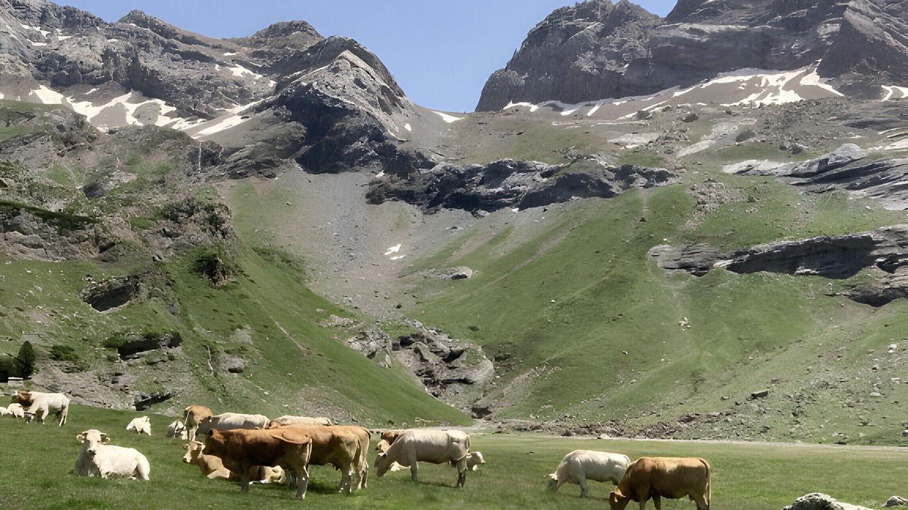 Photo of Others in Argeles Gazost
